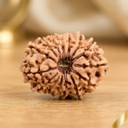 Natural 15 Mukhi Rudraksha (Nepali)