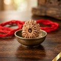 16 Mukhi Rudraksha (Nepali)