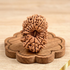 18 Mukhi Rudraksha (Nepali)