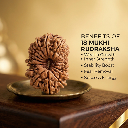 18 Mukhi Rudraksha (Nepali)