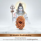 18 Mukhi Rudraksha (Nepali)