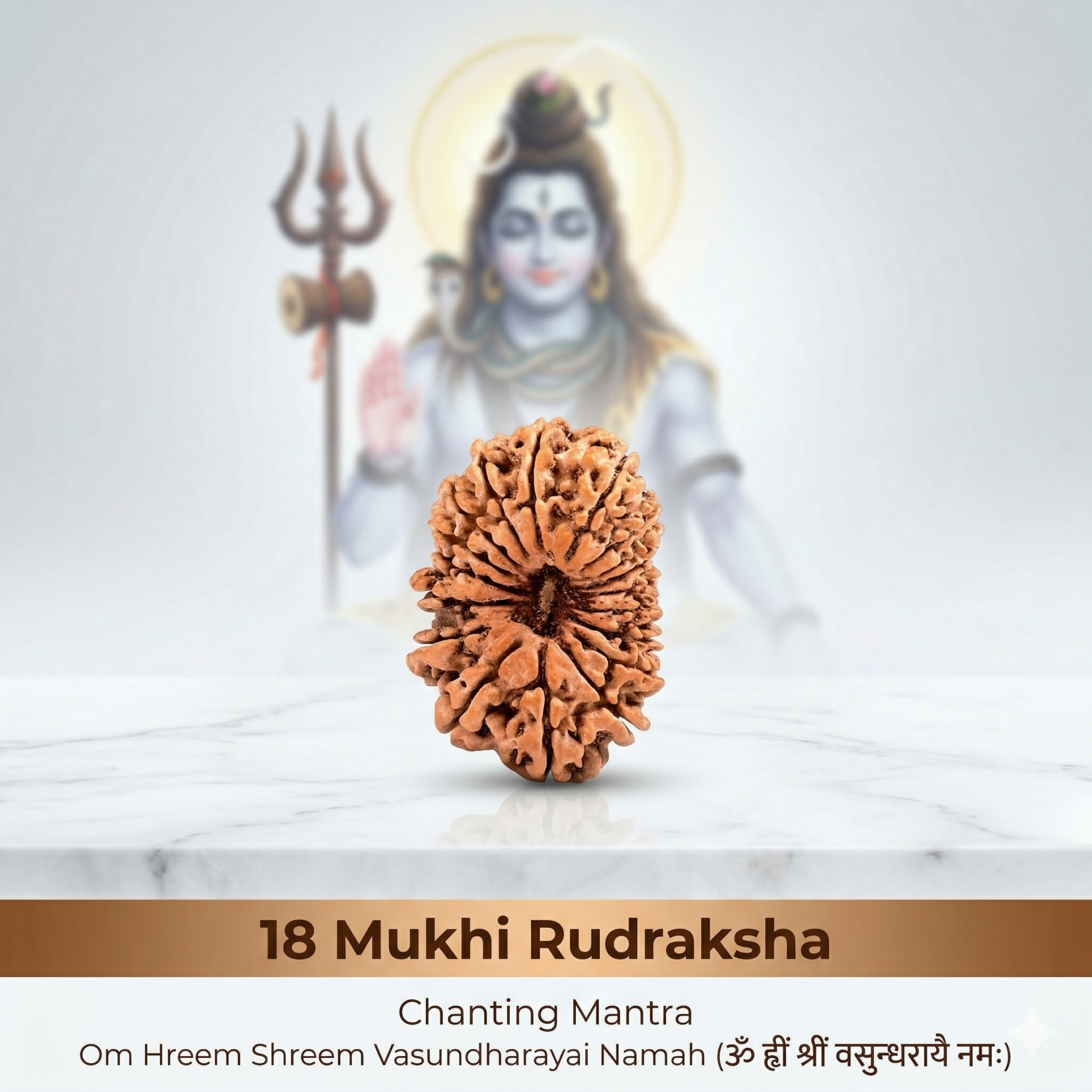 18 Mukhi Rudraksha (Nepali)