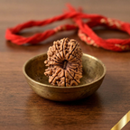 18 Mukhi Rudraksha (Nepali)