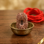 19 Mukhi Rudraksha (Nepali)