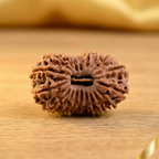 19 Mukhi Rudraksha (Nepali)