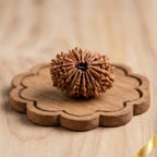 20 Mukhi Rudraksha (Nepali)