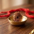 20 Mukhi Rudraksha (Nepali)