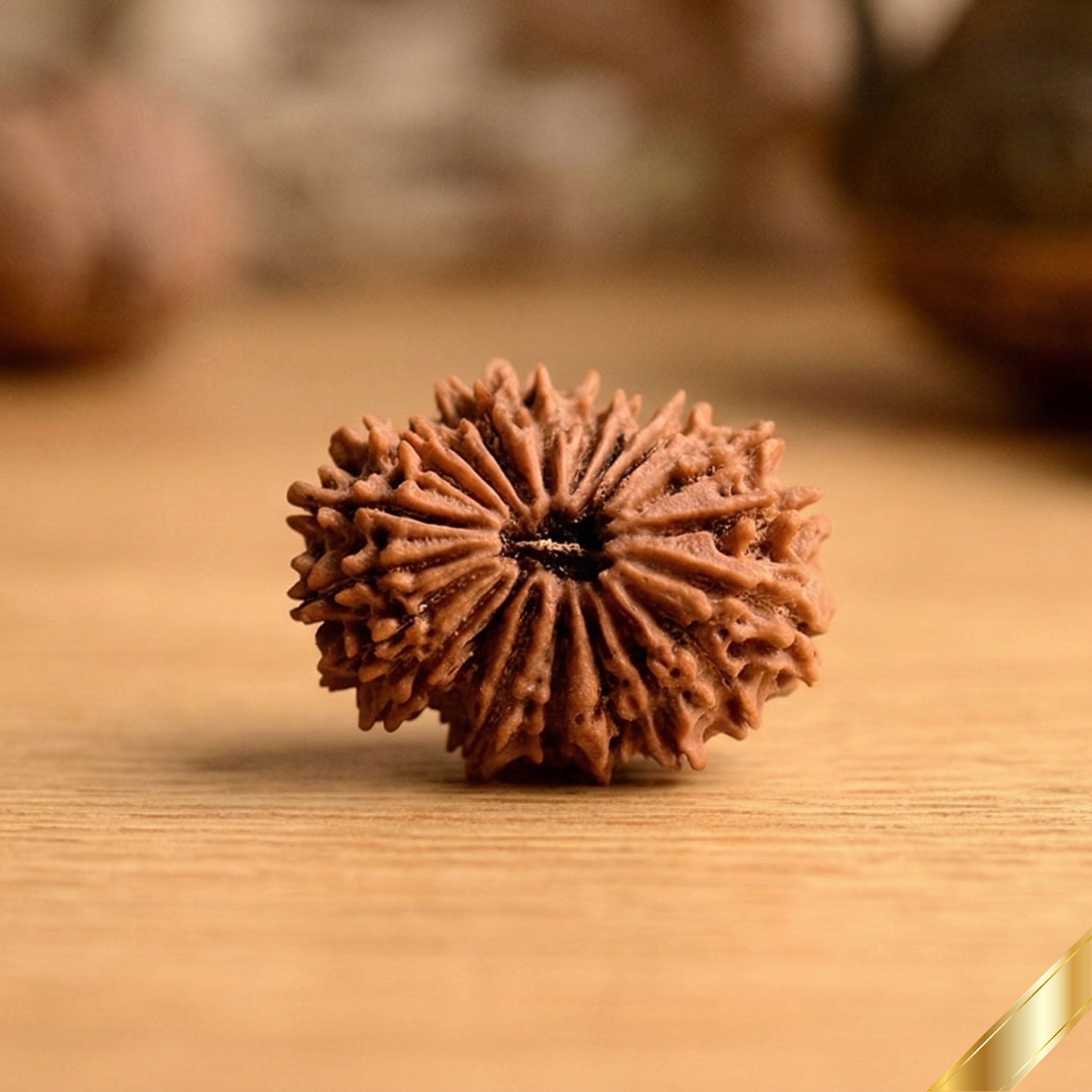 20 Mukhi Rudraksha (Nepali)