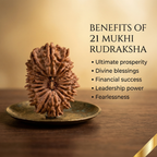 21 Mukhi Rudraksha (Nepali)
