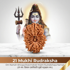 21 Mukhi Rudraksha (Nepali)