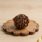 Ganesh Rudraksha (Nepali)