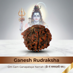 Ganesh Rudraksha (Nepali)