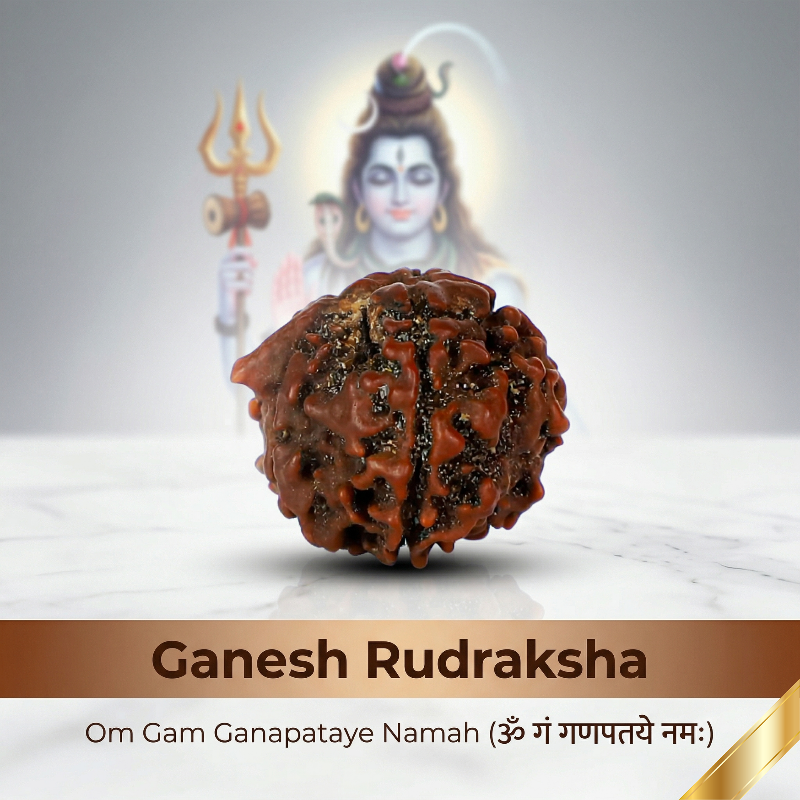 Ganesh Rudraksha (Nepali)