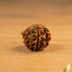 Ganesh Rudraksha (Nepali)