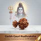 Garbh gauri Rudhraksha (Nepali)
