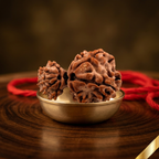 Garbh gauri Rudhraksha (Nepali)
