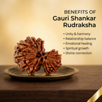 Gauri Shankar Rudraksha (Nepali)