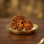 Gauri Shankar Rudraksha (Nepali)