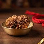 22 Mukhi Rudraksha (Nepali)
