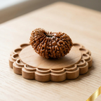 24 Mukhi Rudraksha (Nepali)