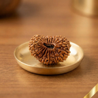 24 Mukhi Rudraksha (Nepali)