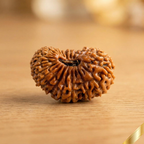 24 Mukhi Rudraksha (Nepali)