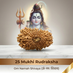 25 Mukhi Rudraksha (Nepali)