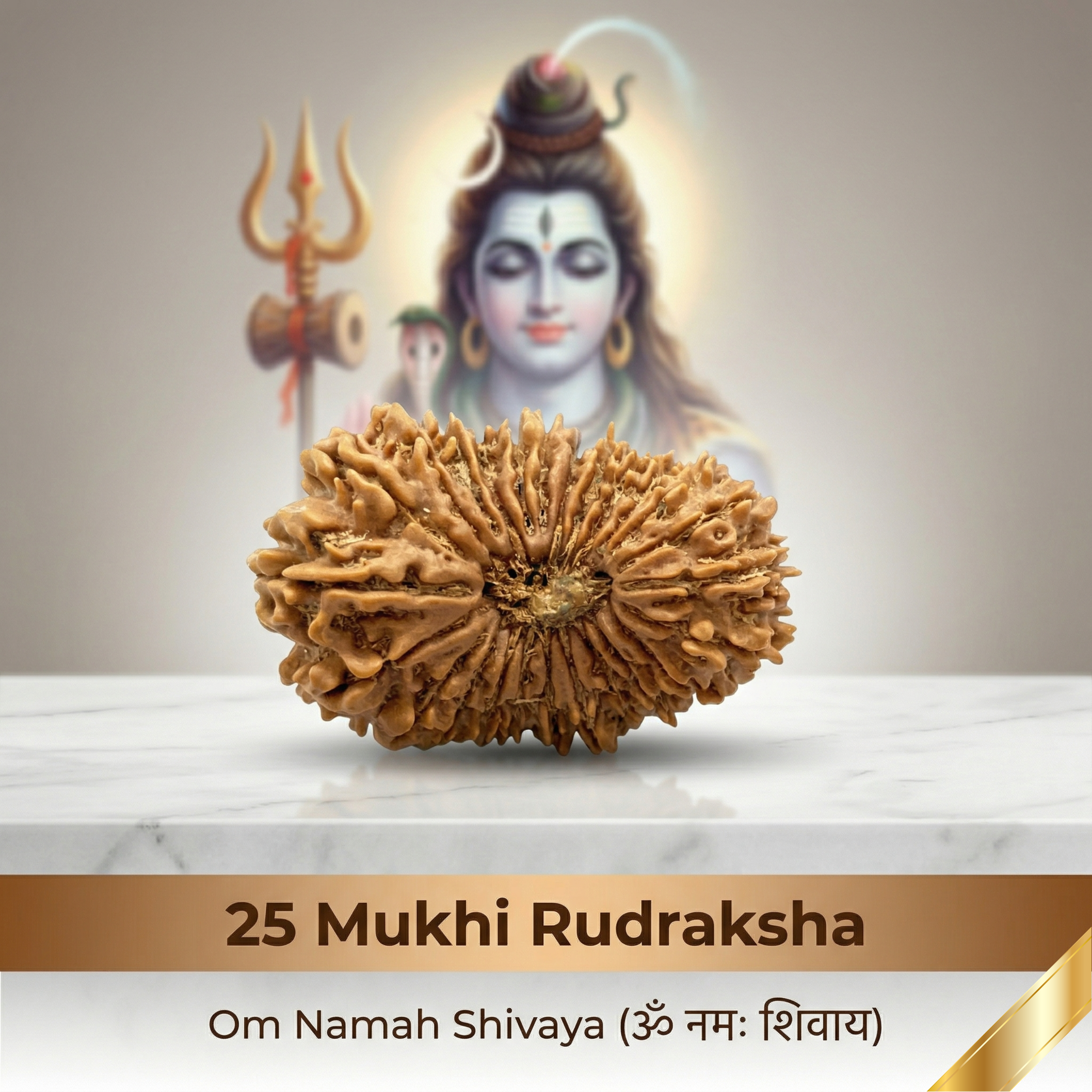 25 Mukhi Rudraksha (Nepali)