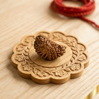 Natural 1 Mukhi Rudraksha (Nepali)