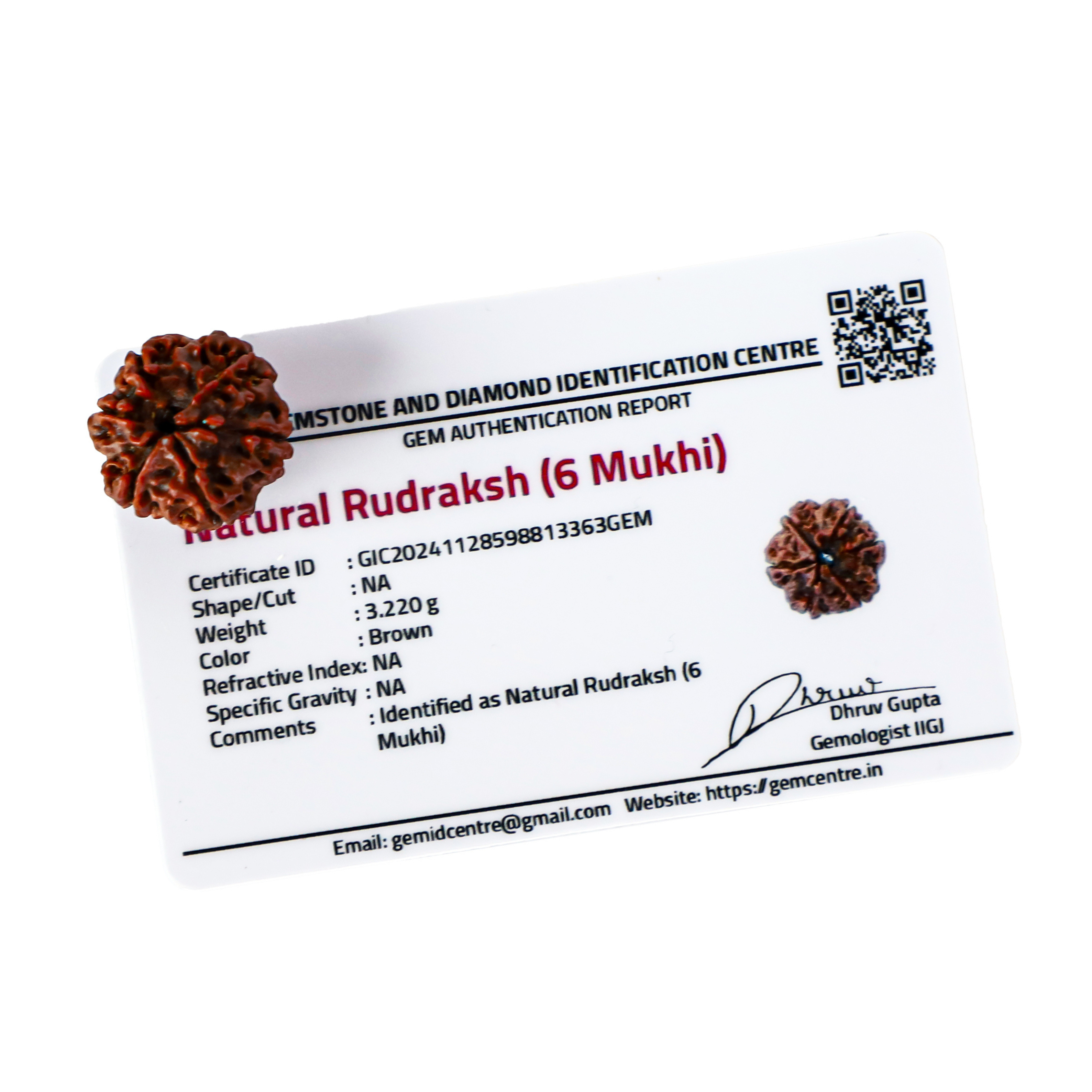Natural 6 Mukhi Rudraksha (Nepali)