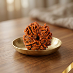 Natural 4 Mukhi Rudraksha (Nepali)