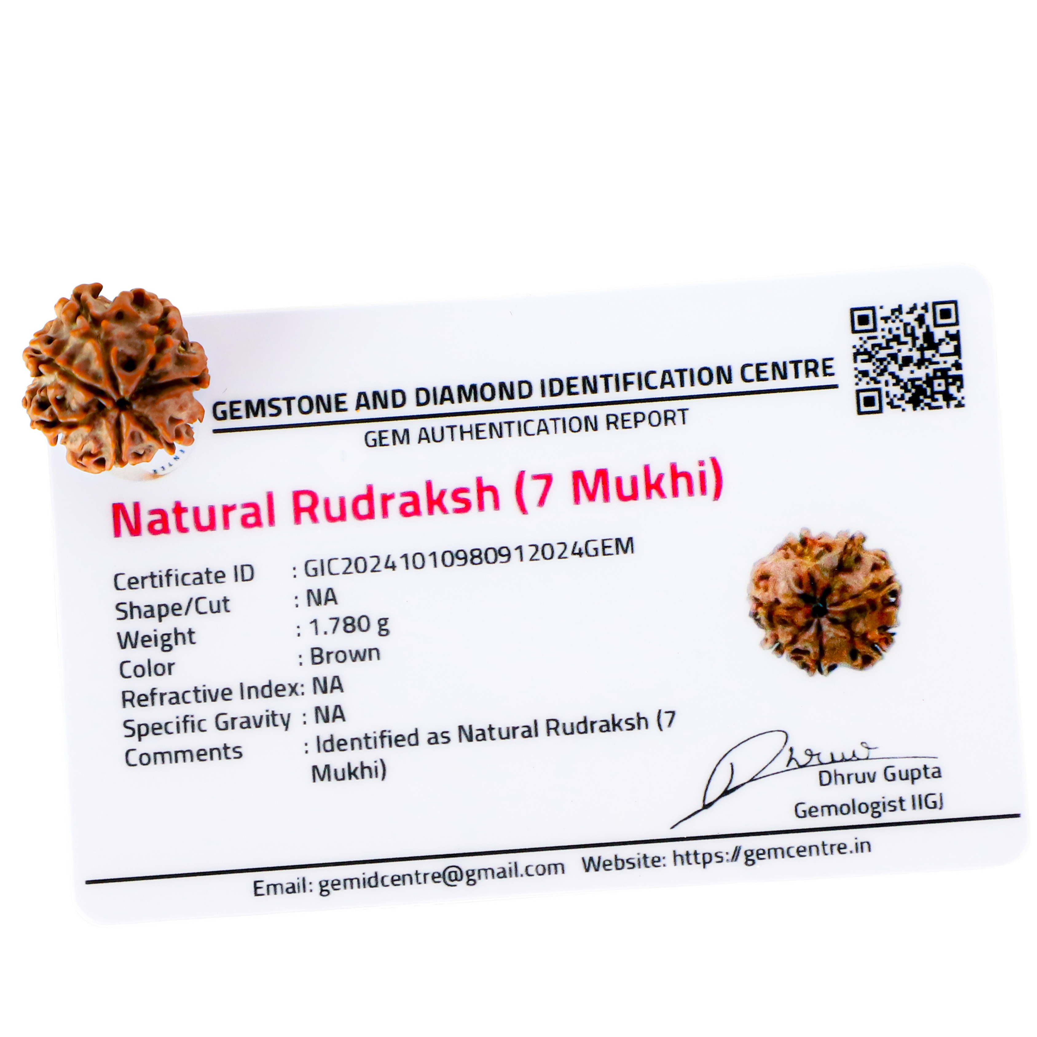 Natural 7 Mukhi Rudraksha (Nepali)