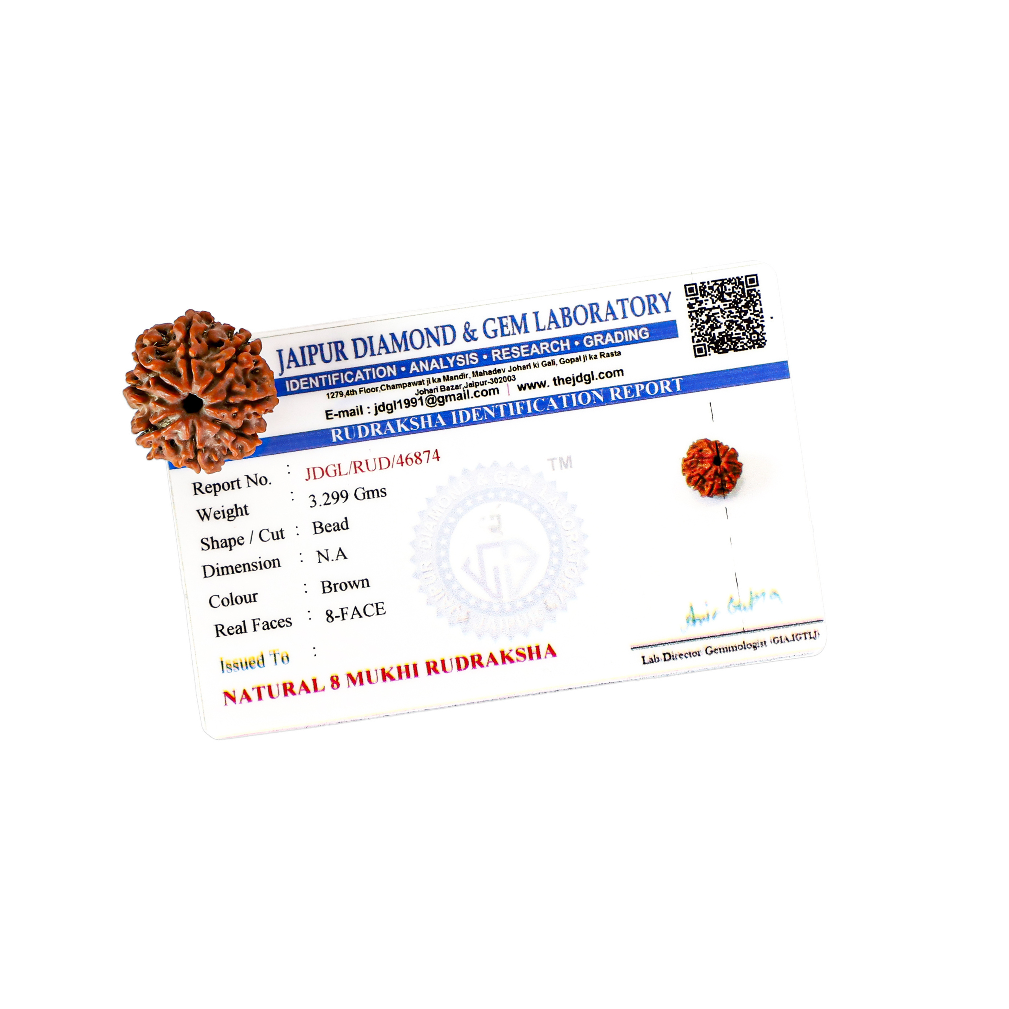 Natural 8 Mukhi Rudraksha (Nepali)