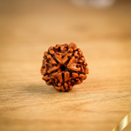 Natural 5 Mukhi Rudraksha (Nepali)