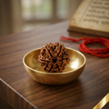 Natural 6 Mukhi Rudraksha (Nepali)