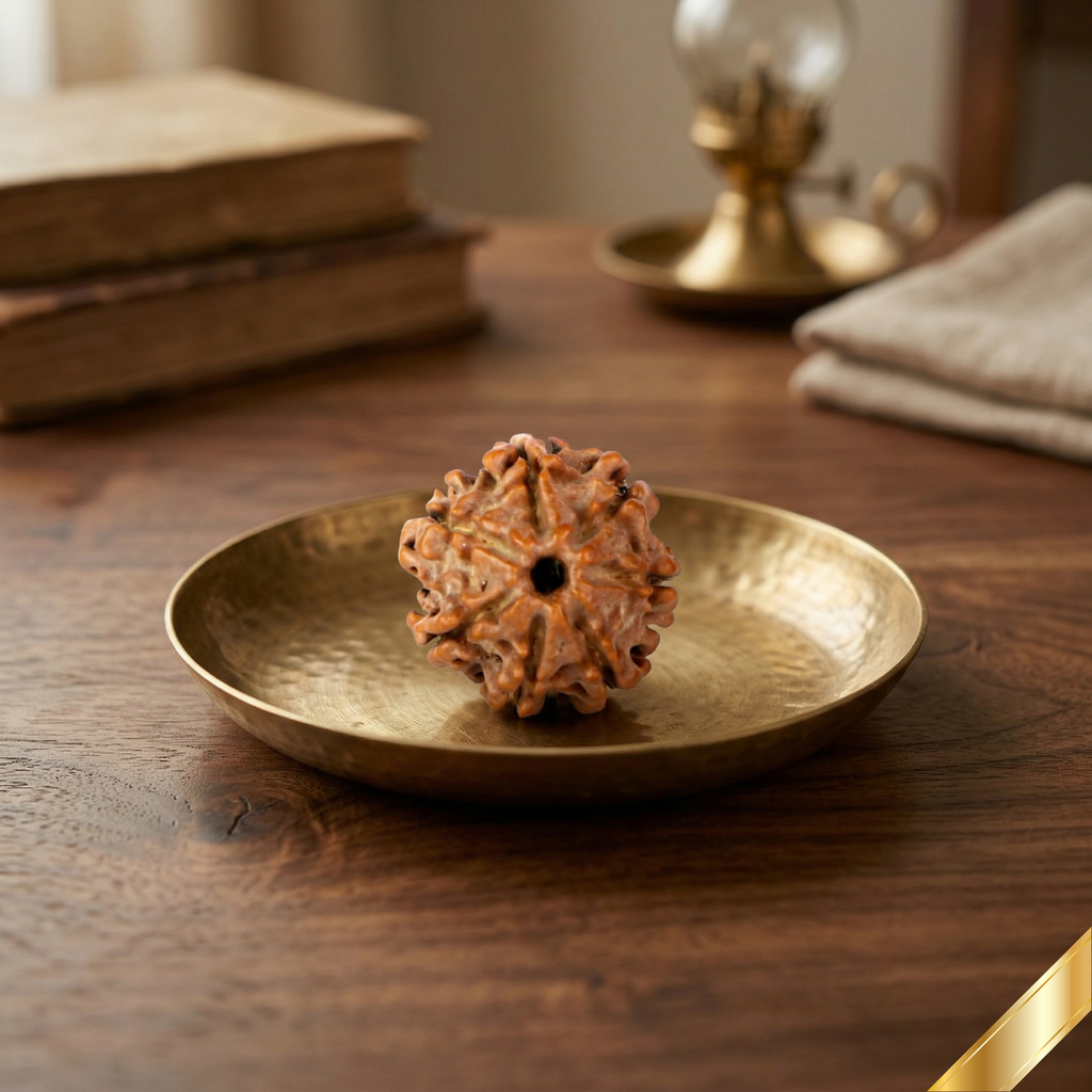 Natural 7 Mukhi Rudraksha (Nepali)
