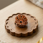 Natural 8 Mukhi Rudraksha (Nepali)