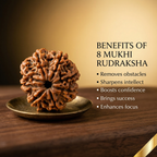 Natural 8 Mukhi Rudraksha (Nepali)