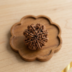 Natural 9 Mukhi Rudraksha (Nepali)