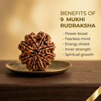 Natural 9 Mukhi Rudraksha (Nepali)