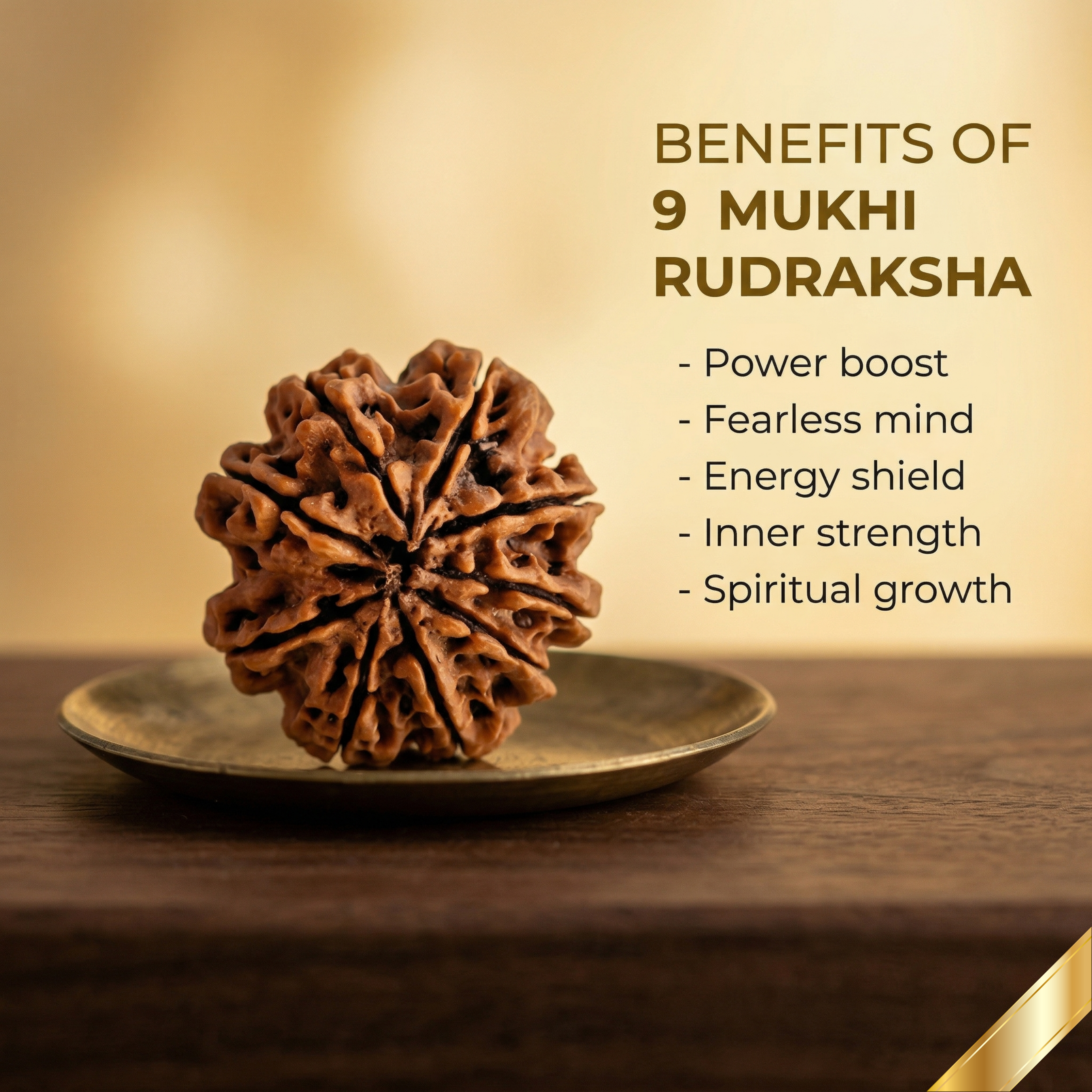Natural 9 Mukhi Rudraksha (Nepali)