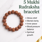 5 Mukhi Rudraksha Bracelet
