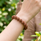 5 Mukhi Rudraksha Bracelet