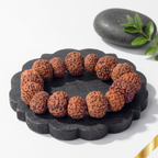 7 Mukhi Rudraksha Bracelet