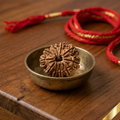 Natural 11 Mukhi Rudraksha (Nepali)