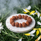 7 Mukhi Rudraksha Bracelet