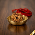 Natural 12 Mukhi Rudraksha (Nepali)