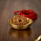 Natural 12 Mukhi Rudraksha (Nepali)