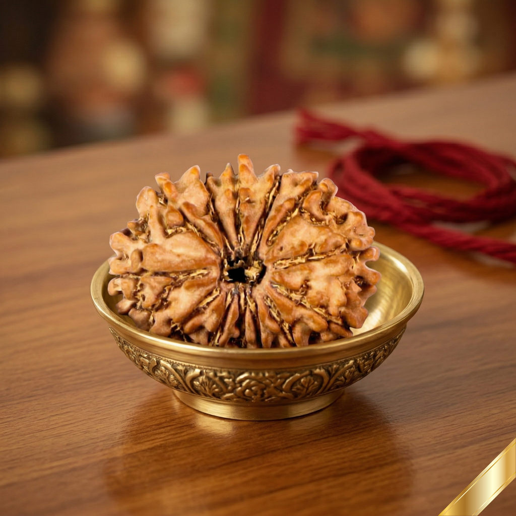 Natural 13 Mukhi Rudraksha (Nepali)